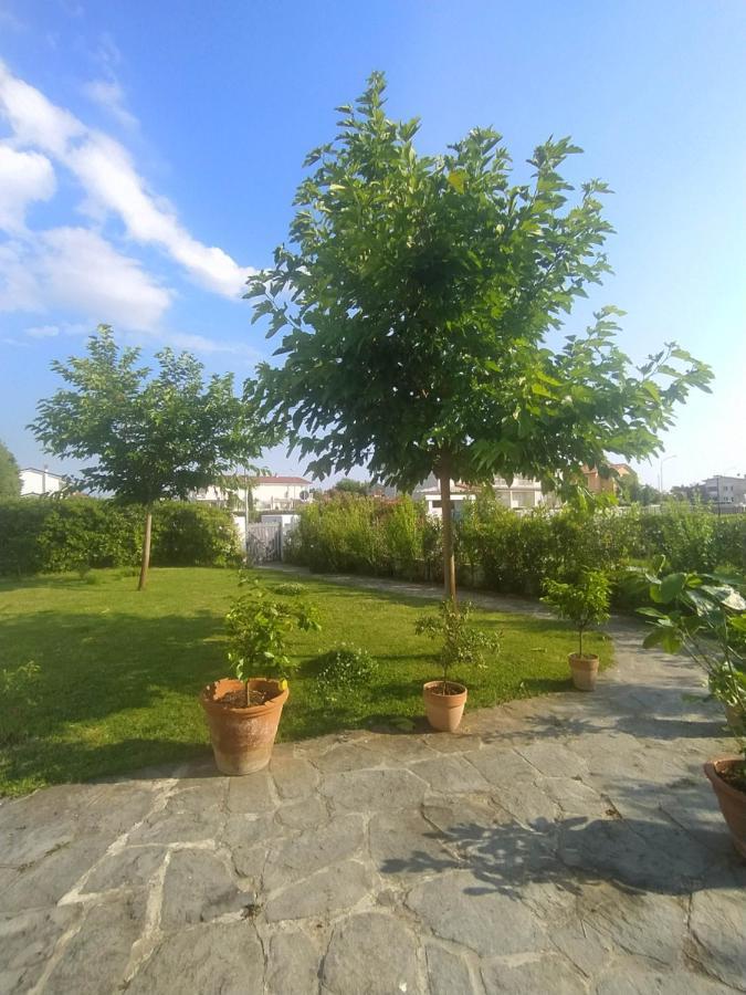 B&B Villa La Bouganville Camaiore Exterior foto